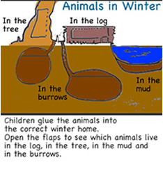 animals in winter