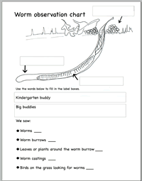 Science Worksheets