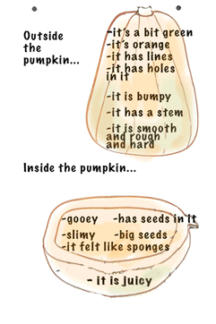 chart to record pumpkin science