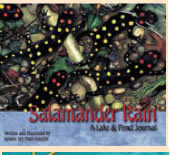 Science Books for Kindergarten - Salamander rain