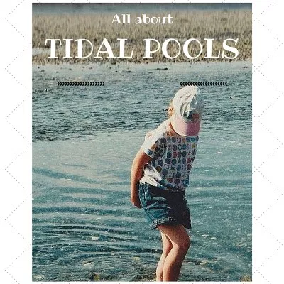 TIDAL POOLS – ZONES