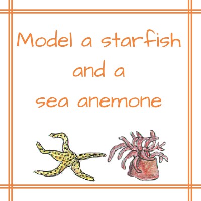 TIDEPOOL CRAFT 1