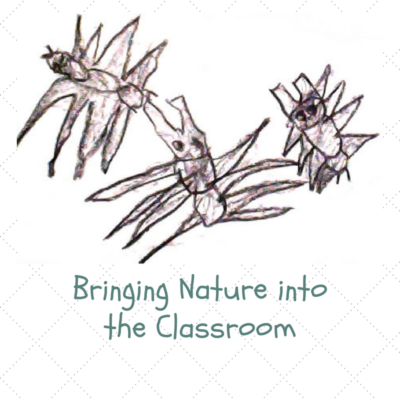 BRINGING NATURE INTO THE CLASSROOM