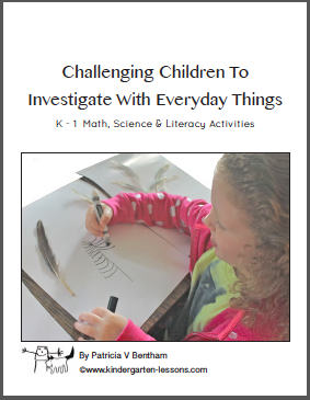 Challenging Children to Investigate with Everyday Things