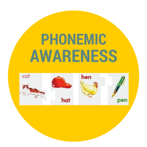 what is phonemic awareness