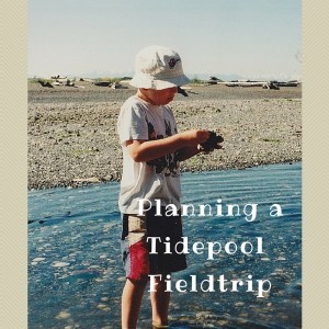 planning a tidepool fieldtrip