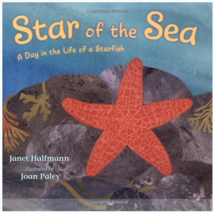 Starfish book Star of the Sea