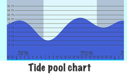 Tidepool Chart